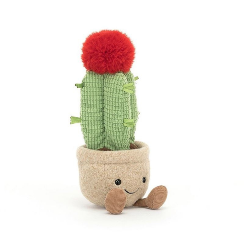 Plush Moon Cactus