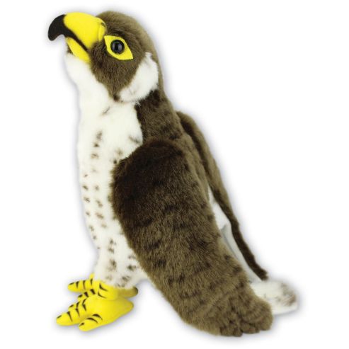 Cuddly Peregrine Falcon 