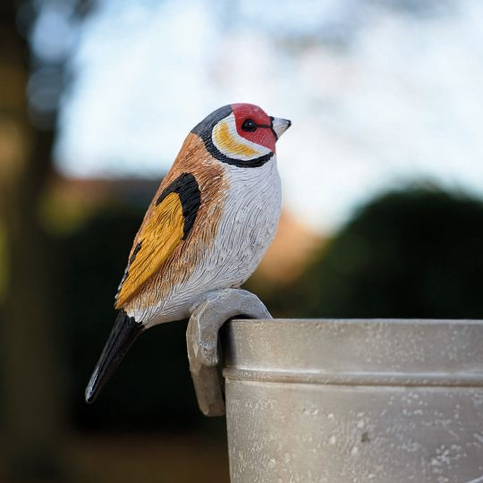 Goldfinch Pot Hanger