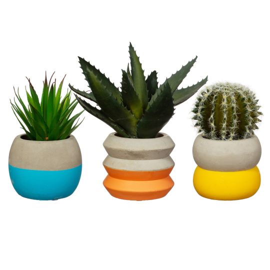 Coloured Cement Plant Pot - Small (Assorted Colours)