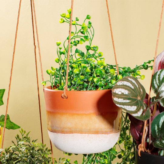 Rustic Terracotta Hanging Planter