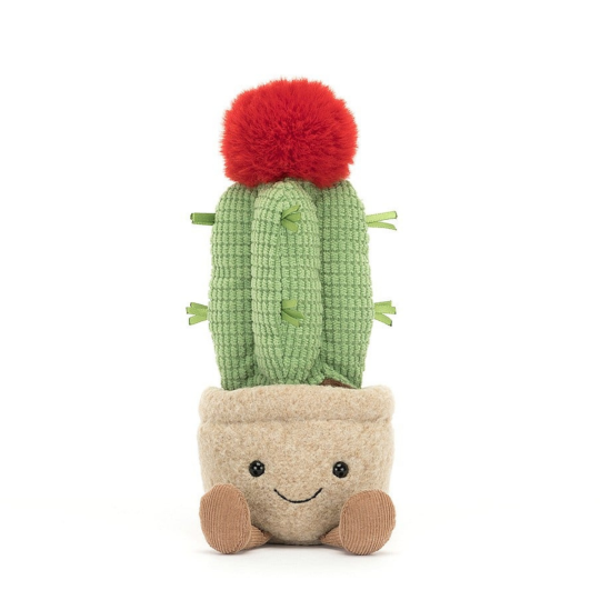 Plush Moon Cactus