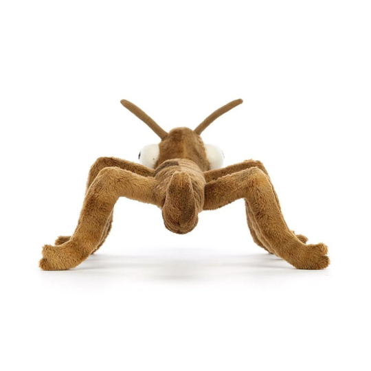 Insect plush best sale