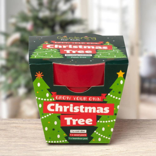 Grow your own christmas tree discount
