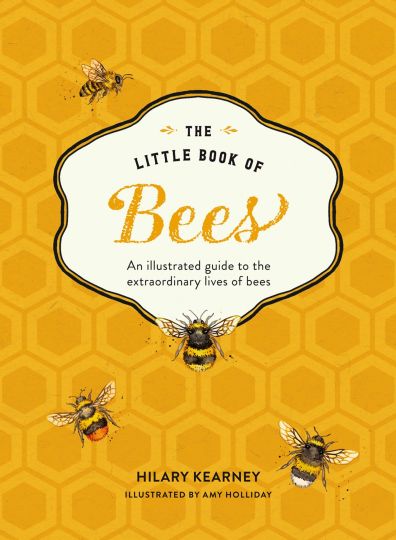  The Little Book Of Bees