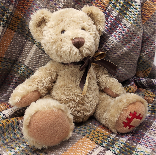 The heritage collection teddy bear top