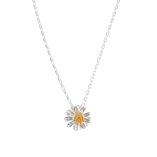 Fingerprint Daisy Locket Necklace | Silver & Gold Memorial Jewellery - Hold  upon Heart
