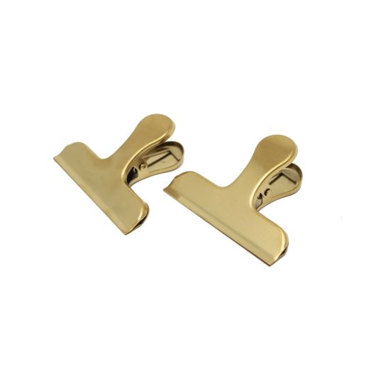 Oversized Gold Page Clips