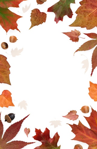 Autumn Sale